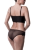 Erotikset von Grey Velvet